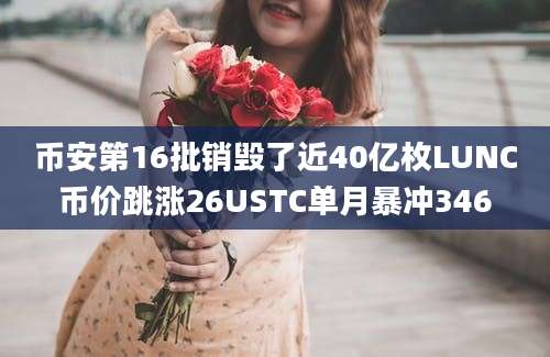 币安第16批销毁了近40亿枚LUNC币价跳涨26USTC单月暴冲346