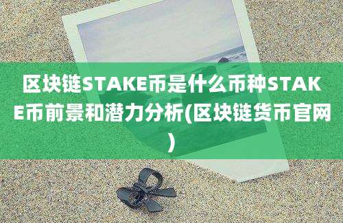 区块链STAKE币是什么币种STAKE币前景和潜力分析(区块链货币官网)