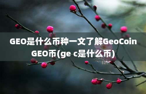 GEO是什么币种一文了解GeoCoinGEO币(ge c是什么币)