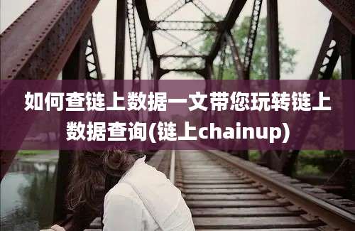 如何查链上数据一文带您玩转链上数据查询(链上chainup)