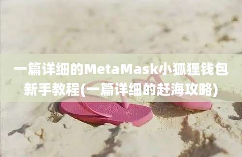 一篇详细的MetaMask小狐狸钱包新手教程(一篇详细的赶海攻略)