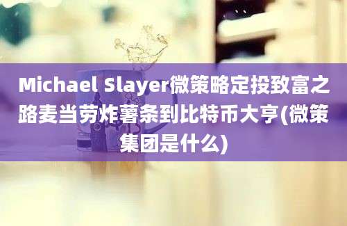 Michael Slayer微策略定投致富之路麦当劳炸薯条到比特币大亨(微策集团是什么)