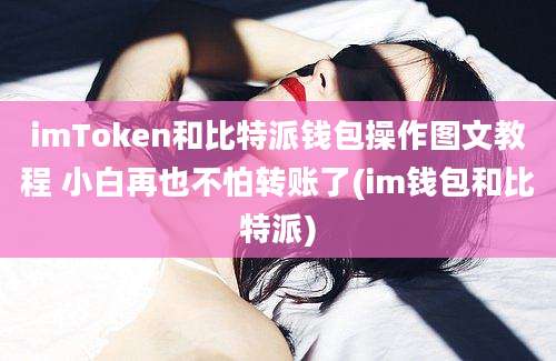 imToken和比特派钱包操作图文教程 小白再也不怕转账了(im钱包和比特派)