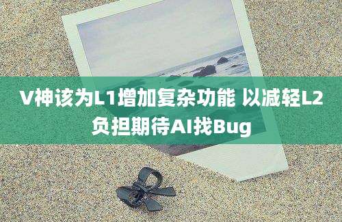 V神该为L1增加复杂功能 以减轻L2负担期待AI找Bug