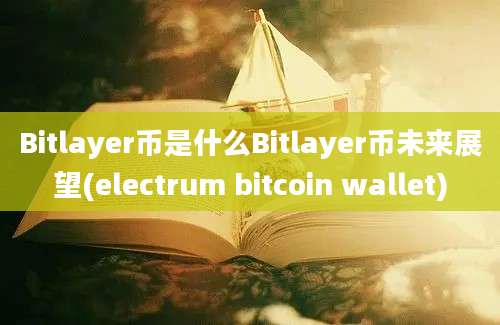 Bitlayer币是什么Bitlayer币未来展望(electrum bitcoin wallet)