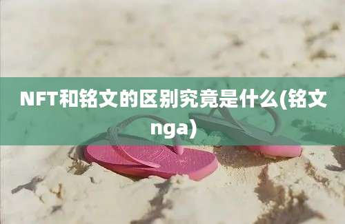 NFT和铭文的区别究竟是什么(铭文nga)