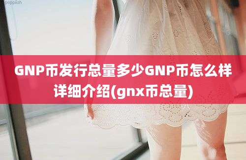 GNP币发行总量多少GNP币怎么样详细介绍(gnx币总量)