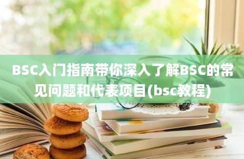 BSC入门指南带你深入了解BSC的常见问题和代表项目(bsc教程)