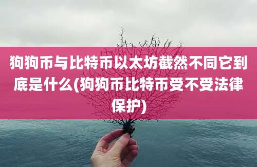 狗狗币与比特币以太坊截然不同它到底是什么(狗狗币比特币受不受法律保护)