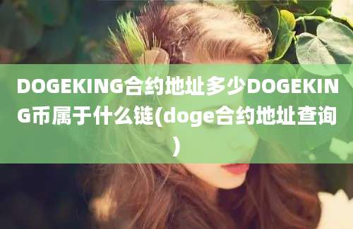 DOGEKING合约地址多少DOGEKING币属于什么链(doge合约地址查询)