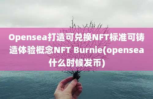 Opensea打造可兑换NFT标准可铸造体验概念NFT Burnie(opensea什么时候发币)