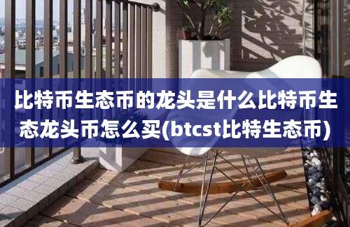 比特币生态币的龙头是什么比特币生态龙头币怎么买(btcst比特生态币)