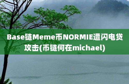 Base链Meme币NORMIE遭闪电贷攻击(币链何在michael)