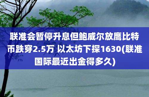 联准会暂停升息但鲍威尔放鹰比特币跌穿2.5万 以太坊下探1630(联准国际最近出金得多久)