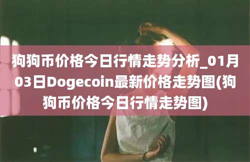 狗狗币价格今日行情走势分析_01月03日Dogecoin最新价格走势图(狗狗币价格今日行情走势图)