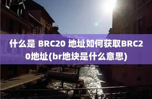 什么是 BRC20 地址如何获取BRC20地址(br地块是什么意思)