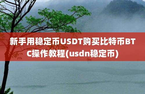 新手用稳定币USDT购买比特币BTC操作教程(usdn稳定币)