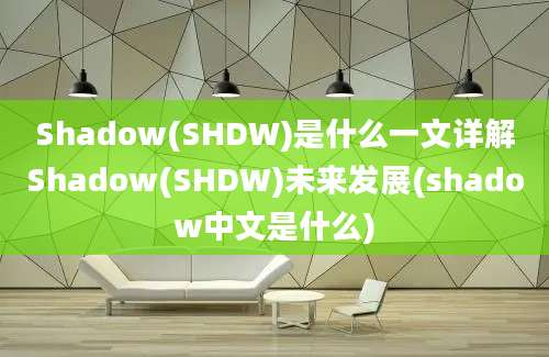 Shadow(SHDW)是什么一文详解Shadow(SHDW)未来发展(shadow中文是什么)