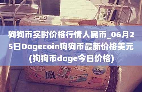 狗狗币实时价格行情人民币_06月25日Dogecoin狗狗币最新价格美元(狗狗币doge今日价格)