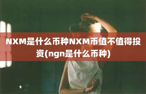 NXM是什么币种NXM币值不值得投资(ngn是什么币种)