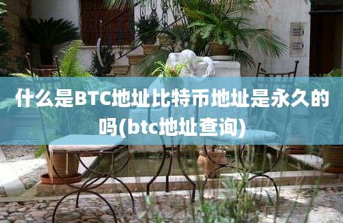 什么是BTC地址比特币地址是永久的吗(btc地址查询)