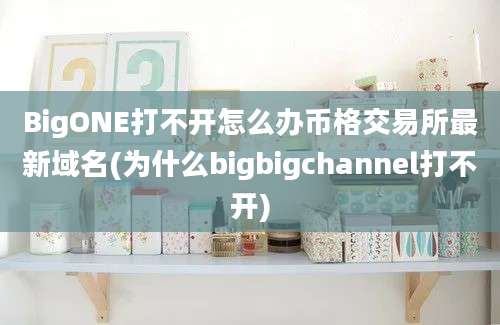 BigONE打不开怎么办币格交易所最新域名(为什么bigbigchannel打不开)