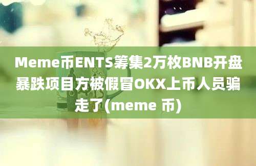 Meme币ENTS筹集2万枚BNB开盘暴跌项目方被假冒OKX上币人员骗走了(meme 币)