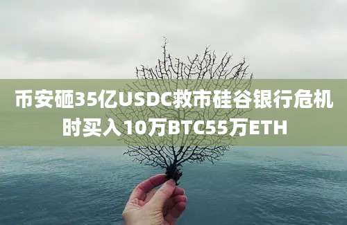 币安砸35亿USDC救市硅谷银行危机时买入10万BTC55万ETH