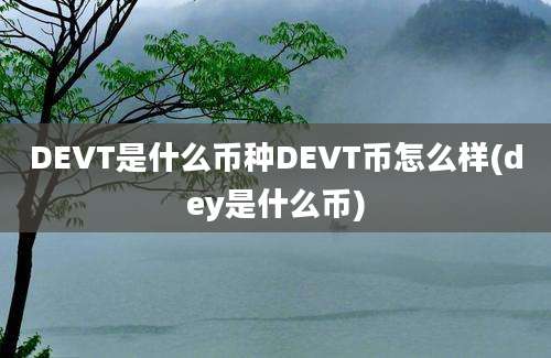 DEVT是什么币种DEVT币怎么样(dey是什么币)