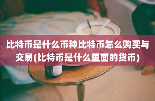 比特币是什么币种比特币怎么购买与交易(比特币是什么里面的货币)