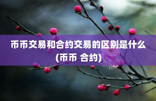 币币交易和合约交易的区别是什么(币币 合约)