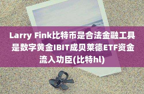 Larry Fink比特币是合法金融工具 是数字黄金IBIT成贝莱德ETF资金流入功臣(比特hl)