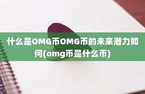 什么是OMG币OMG币的未来潜力如何(omg币是什么币)