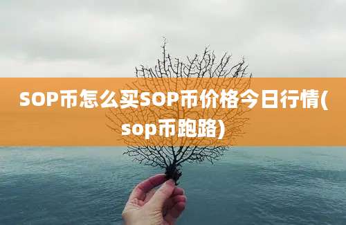 SOP币怎么买SOP币价格今日行情(sop币跑路)