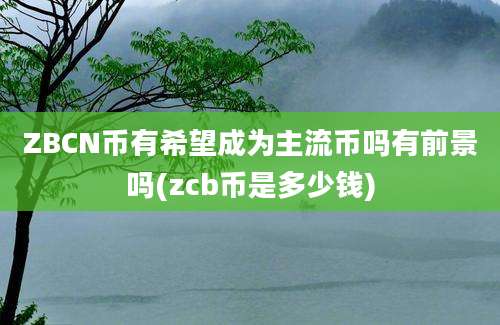 ZBCN币有希望成为主流币吗有前景吗(zcb币是多少钱)