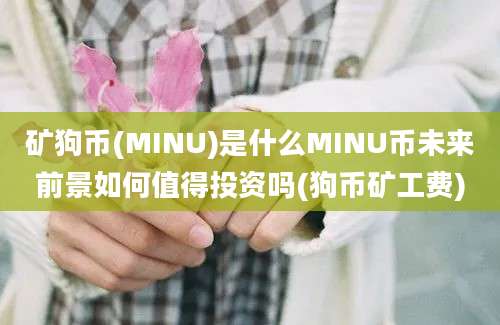 矿狗币(MINU)是什么MINU币未来前景如何值得投资吗(狗币矿工费)