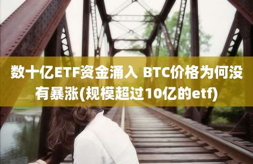 数十亿ETF资金涌入 BTC价格为何没有暴涨(规模超过10亿的etf)