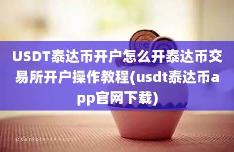 USDT泰达币开户怎么开泰达币交易所开户操作教程(usdt泰达币app官网下载)