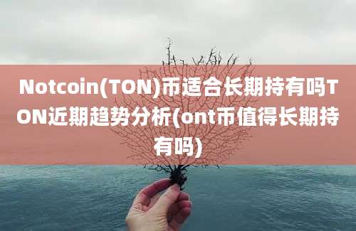 Notcoin(TON)币适合长期持有吗TON近期趋势分析(ont币值得长期持有吗)