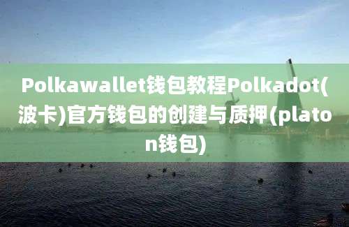 Polkawallet钱包教程Polkadot(波卡)官方钱包的创建与质押(platon钱包)