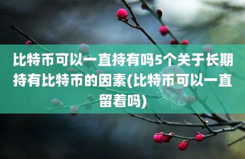 比特币可以一直持有吗5个关于长期持有比特币的因素(比特币可以一直留着吗)