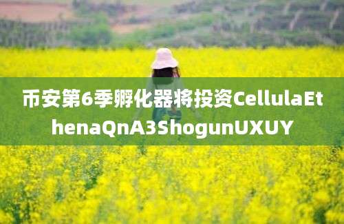 币安第6季孵化器将投资CellulaEthenaQnA3ShogunUXUY