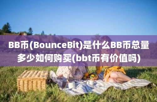 BB币(BounceBit)是什么BB币总量多少如何购买(bbt币有价值吗)