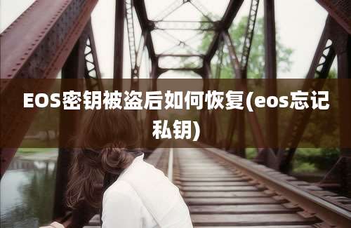 EOS密钥被盗后如何恢复(eos忘记私钥)