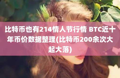 比特币也有214情人节行情 BTC近十年币价数据整理(比特币200余次大起大落)