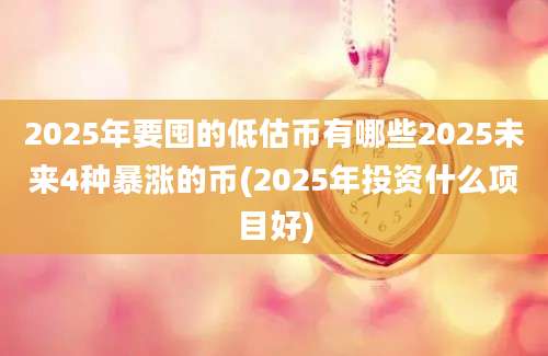 2025年要囤的低估币有哪些2025未来4种暴涨的币(2025年投资什么项目好)