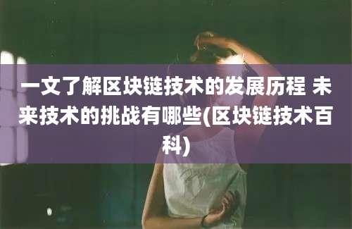 一文了解区块链技术的发展历程 未来技术的挑战有哪些(区块链技术百科)