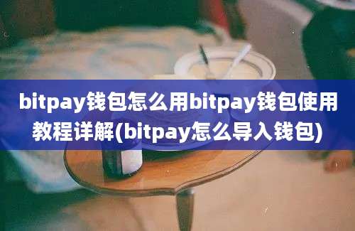 bitpay钱包怎么用bitpay钱包使用教程详解(bitpay怎么导入钱包)