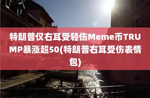 特朗普仅右耳受轻伤Meme币TRUMP暴涨超50(特朗普右耳受伤表情包)