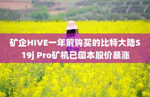 矿企HIVE一年前购买的比特大陆S19j Pro矿机已回本股价暴涨